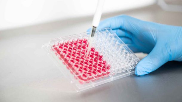 cell-based assays for the biotechnology industry